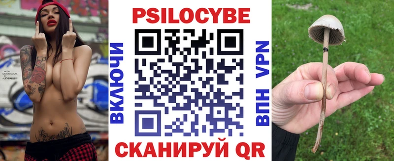 Псилоцибиновые грибы мухоморы  закладки  Геленджик 